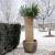 Nature foaie de protecție pentru iarnă, paie de orez, 1x1,5 m 6030105, 3 image