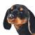 Câine din pluș de jucărie dachshund, negru, xxl, 3 image