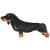 Câine din pluș de jucărie dachshund, negru, xxl, 2 image
