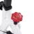 Bicicletă antrenament fitness, cu senzori puls, alb și roșu, 6 image