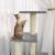 Ansamblu pisici, stâlpi din funie sisal, gri deschis, 92 cm, 3 image