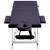 Masă de masaj pliabilă, 2 zone, violet, aluminiu, 3 image