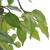 Ficus pitic artificial cu aspect natural și ghiveci, 60 cm, 2 image
