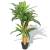 Plantă dracena artificială cu ghiveci, 100 cm, verde
