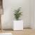Jardinieră cutie, alb, 40x40x40 cm, lemn prelucrat