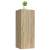 Dulap de perete, stejar sonoma, 34,5x34x90 cm, lemn compozit, 5 image