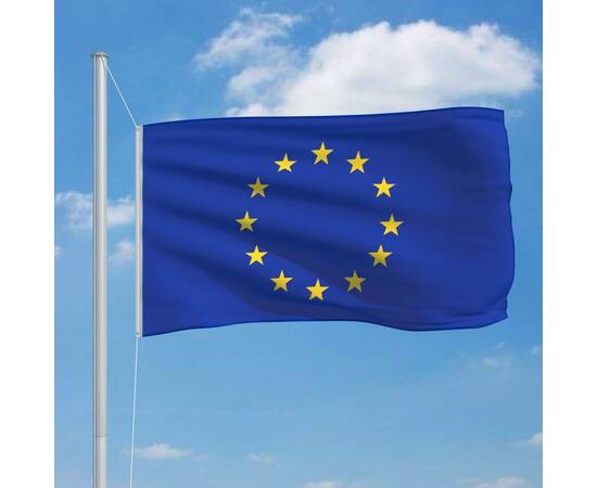 Steag europa, 90 x 150 cm, 3 image