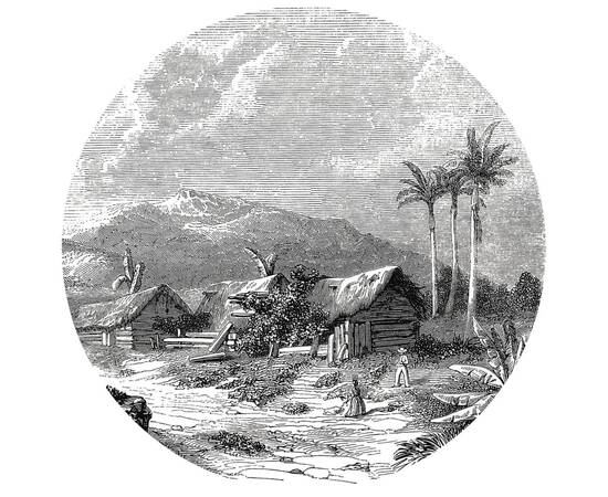 Wallart tapet în formă de cerc „landscape of guadeloupe”, 190 cm, 2 image