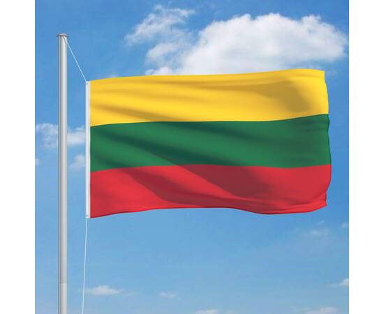 Steag lituania, 90 x 150 cm, 3 image