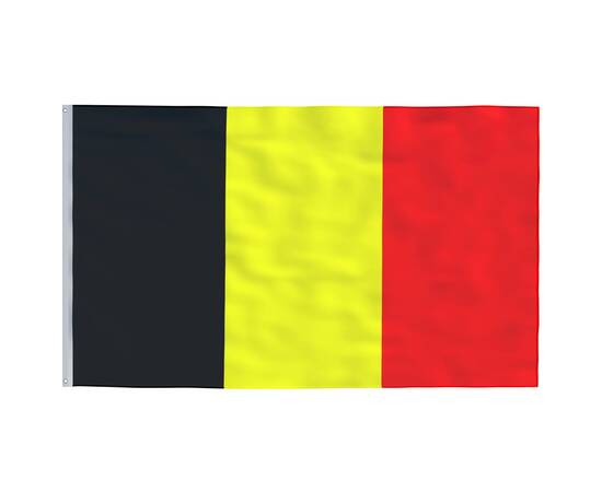 Steag belgia și stâlp din aluminiu, 5,55 m, 4 image