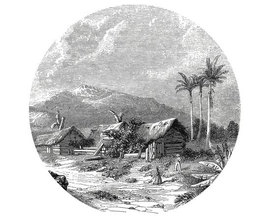 Wallart tapet în formă de cerc „landscape of guadeloupe”, 142,5 cm, 2 image