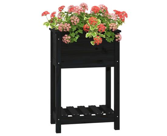 Jardinieră cu raft, negru, 54x34,5x81 cm, lemn masiv de pin, 4 image