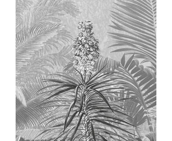 Komar fototapet mural amazonia, alb şi negru, 400x250 cm, 3 image