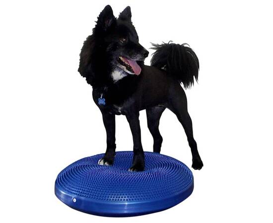 Fitpaws disc de echilibru pentru animale de companie, albastru, 56 cm