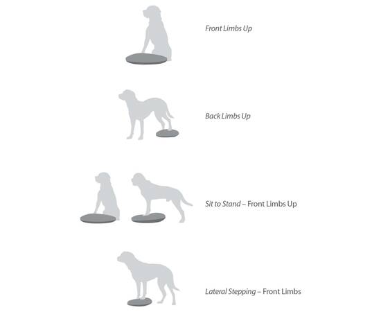 Fitpaws disc de echilibru pentru animale de companie, albastru, 56 cm, 5 image