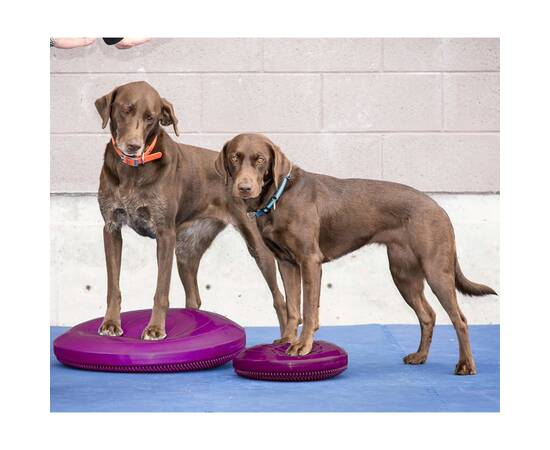 Fitpaws disc de echilibru pentru animale de companie, roz, 56 cm, 3 image