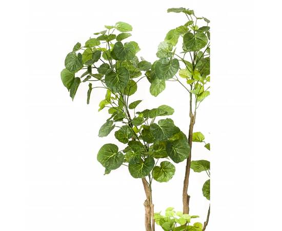 Emerald arbore artificial polyscias, 135 cm, 420292