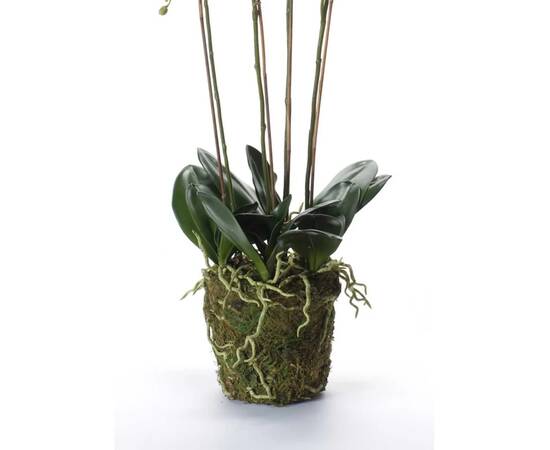 Emerald orhidee artificială phalaenopsis cu mușchi, alb, 90 cm 20.355, 3 image