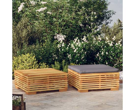 Set mobilier de grădină, 2 piese, lemn masiv de tec