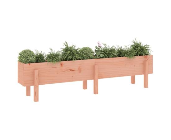 Strat înălțat de grădină, 160x30x38 cm, lemn masiv douglas, 3 image