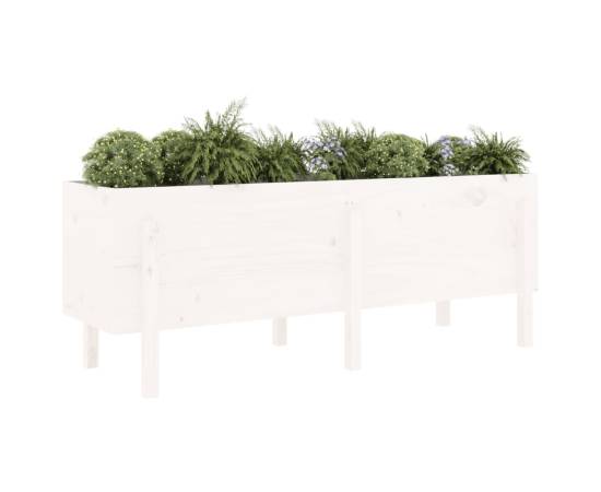 Strat înălțat de grădină, alb, 160x50x57 cm, lemn masiv de pin, 3 image
