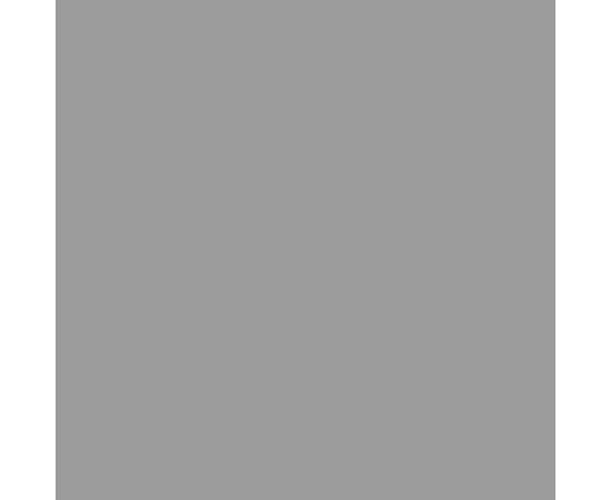 Șopron de grădină, gri, 277x93x179 cm, oțel zincat, 8 image
