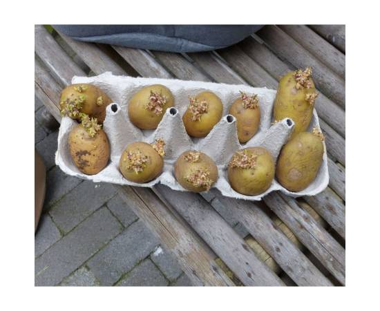 Nature sac de cultură cartofi, 37 l, bej, 6 image