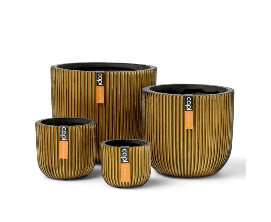 Capi set de vaze în formă de bol, 4 piese, "groove", auriu, 2 image