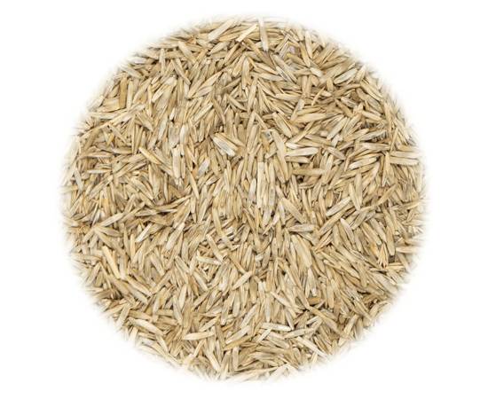 Semințe de gazon pentru câmp și pășune, 10 kg, 2 image
