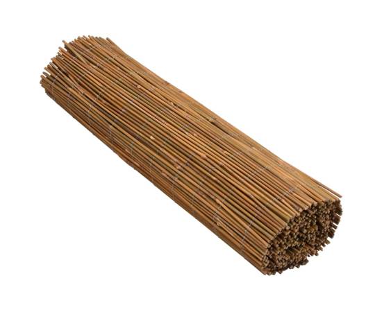 Gard de bambus, 500x100 cm, 3 image