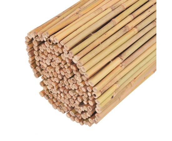 Gard din bambus, 300 x 100 cm, 6 image