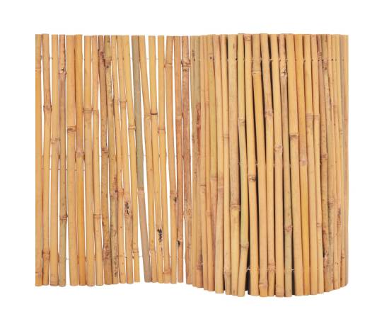 Gard din bambus, 500 x 30 cm, 2 image