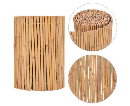 Gard din bambus, 500 x 30 cm, 4 image