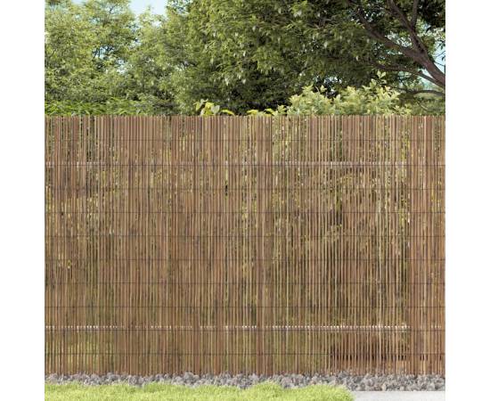 Gard de grădină, 600x100 cm, stuf