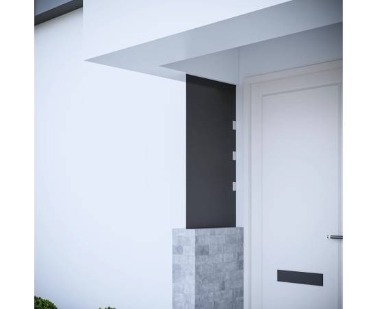 Panou lateral copertină ușă negru 50x100 cm sticlă