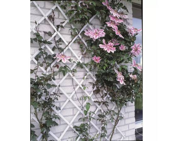 Nature gard de grădină tip trellis, 100 x 200 cm pvc, alb, 6040703, 2 image