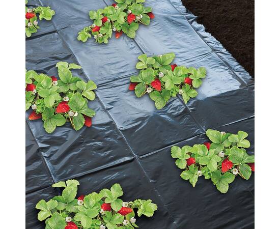 Nature folie de mulcire pentru căpșuni, 1,4 x 20 m, 6030231, 3 image