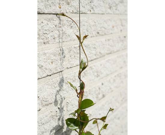 Nature set cabluri spalier pentru plante cățărătoare, 6040760, 4 image
