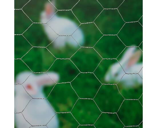 Nature plasă din sârmă, 0,5 x 2,5 m, oțel galvanizat, 25 mm, hexagonal, 2 image