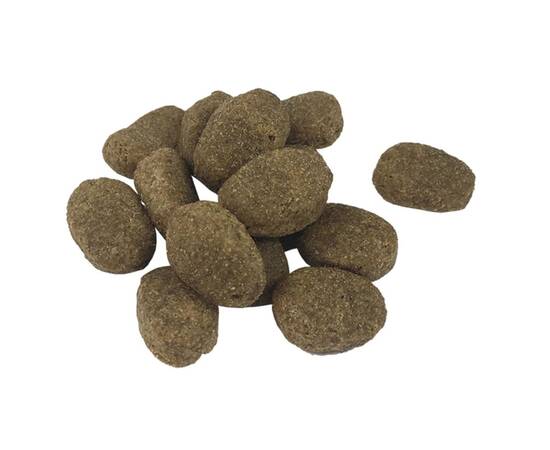 Hrană câini uscată premium, miel & orez adulți sensibili, 15 kg, 8 image