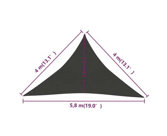 Pânză parasolar, antracit, 4x4x5,8 m, hdpe, 160 g/m², 6 image