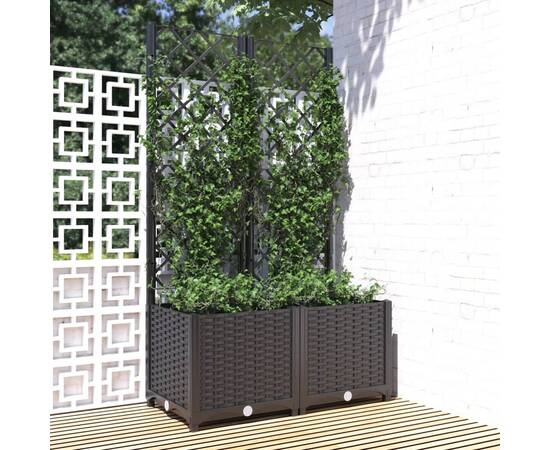 Jardinieră de grădină cu spalier negru, 80x40x136 cm, pp