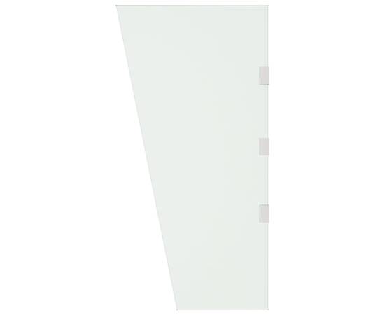 Panou lateral copertină ușă transparent 50x100 cm sticlă, 3 image