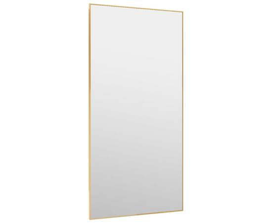 Oglindă pentru ușă, auriu, 50x100 cm, sticlă și aluminiu, 3 image