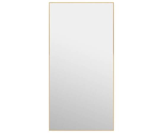 Oglindă pentru ușă, auriu, 50x100 cm, sticlă și aluminiu, 2 image