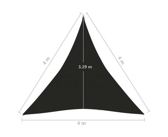 Pânză parasolar, negru, 4x4x4 m, hdpe, 160 g/m², 6 image