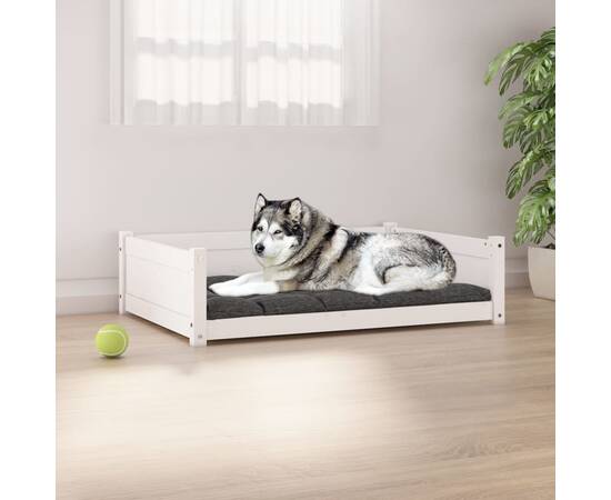 Pat pentru câini, alb, 105,5x75,5x28 cm, lemn masiv de pin